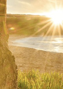 Sunbeams