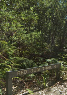 Red Gum Trail